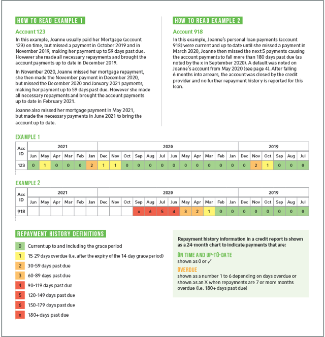 An example of what a repayment history form looks like